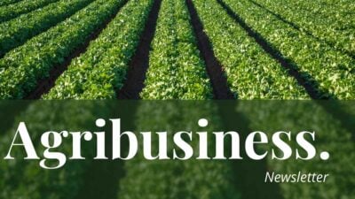 Simple Agribusiness Newsletter Slides