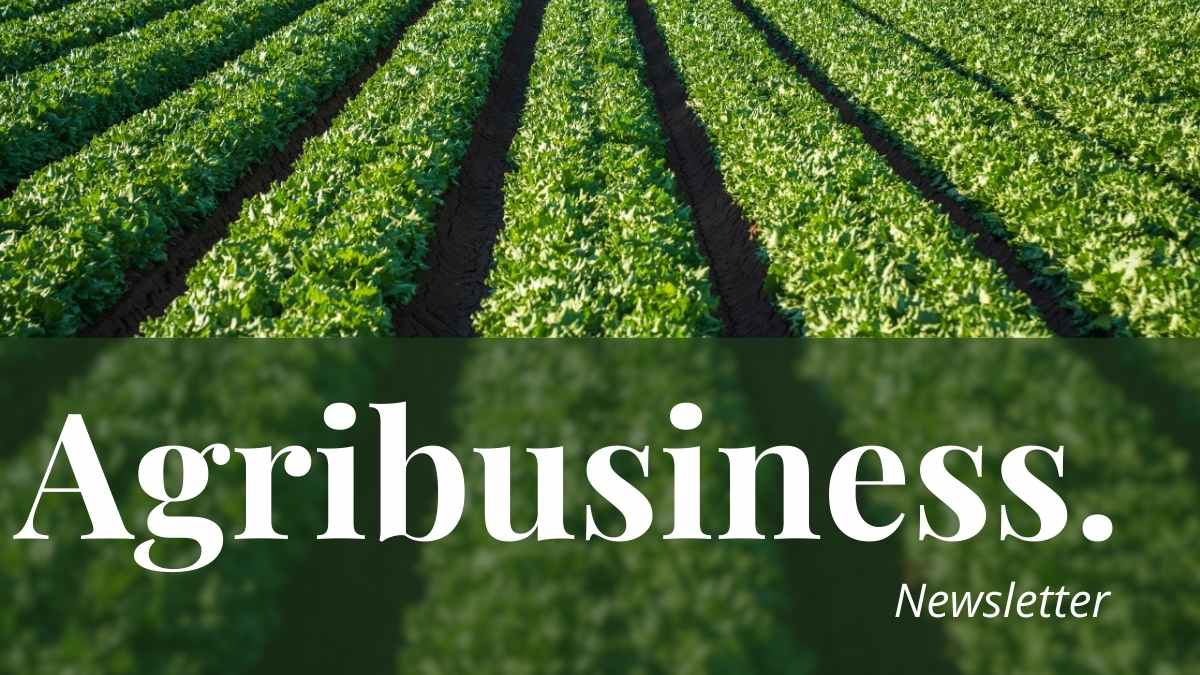 Simple Agribusiness Newsletter Slides - slide 1