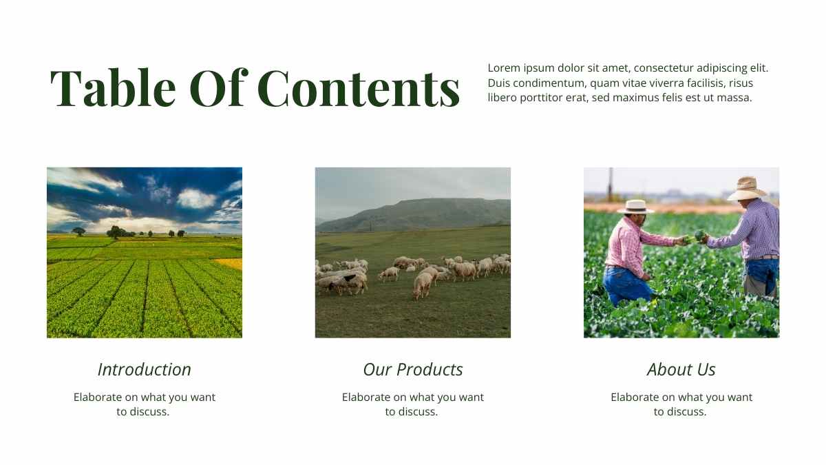 Simple Agribusiness Newsletter Slides - slide 3