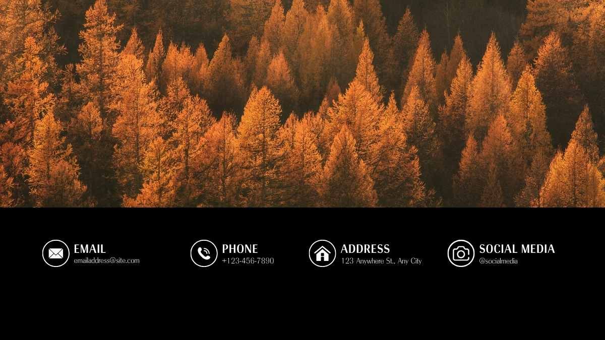 Simple Beautiful Nature Background Slides - slide 12