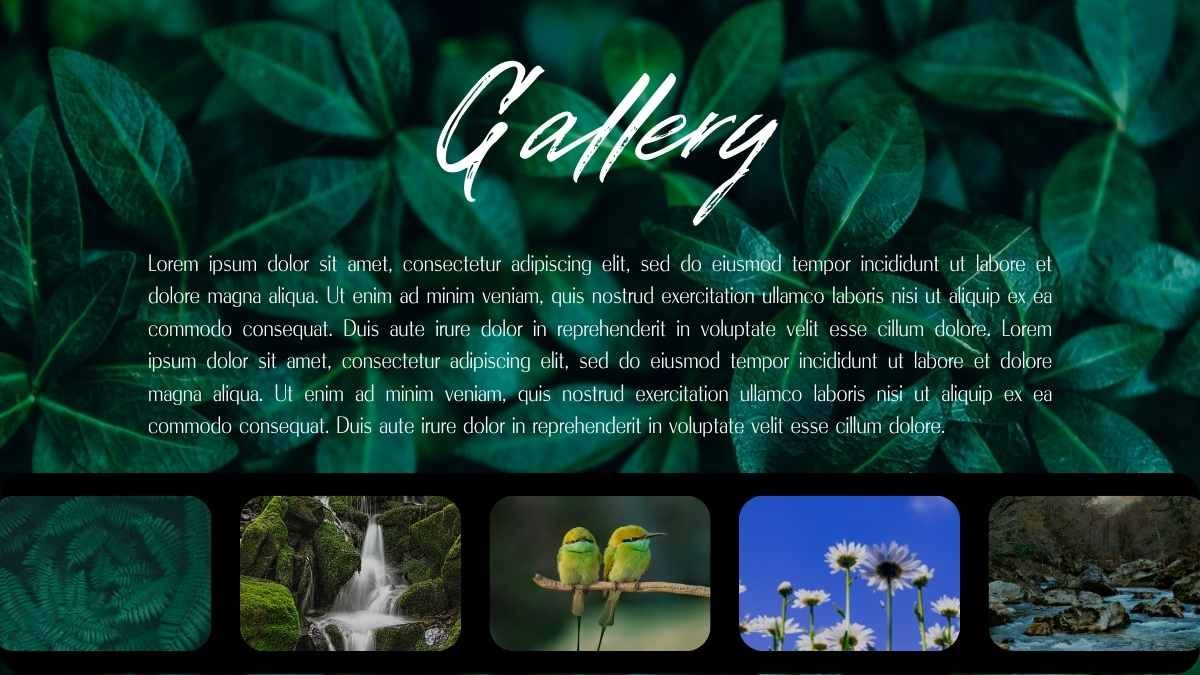 Simple Beautiful Nature Background Slides - slide 8