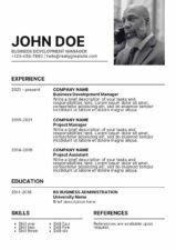 Simple Business Development Manager CV Resume