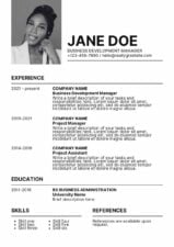 Simple Business Development Manager CV Resume