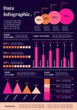 Simple Data Infographic