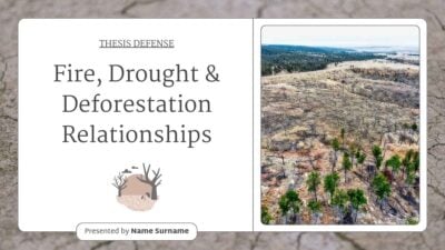 Simple Fire, Drought and Deforestation Relationships Thesis Defense