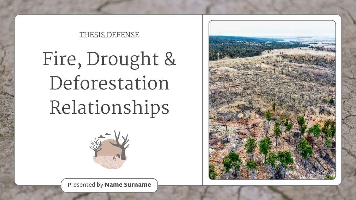 Simple Fire, Drought and Deforestation Relationships Thesis Defense - slide 1