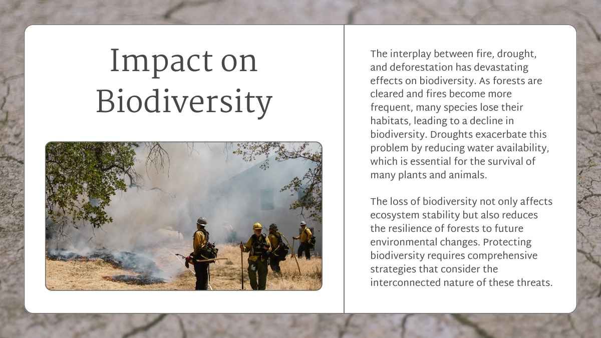 Simple Fire, Drought and Deforestation Relationships Thesis Defense - slide 7