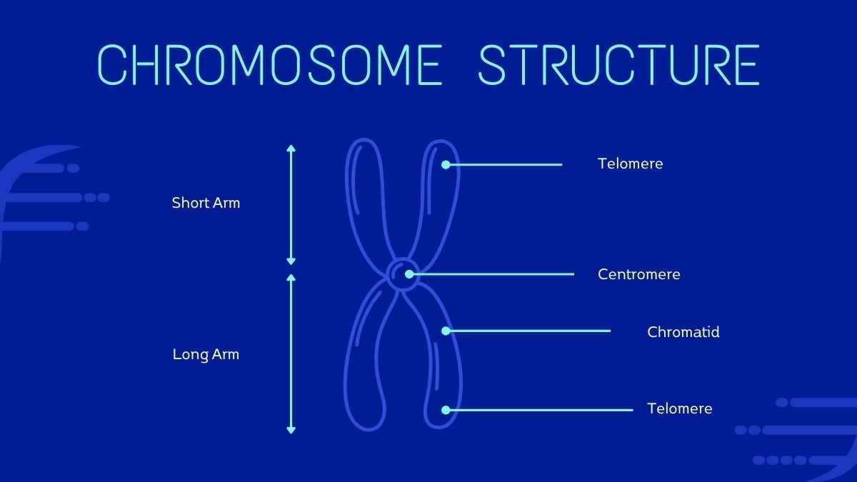 Simple Genetics Terminology Slides - slide 5