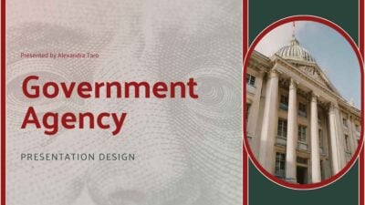 Professional Government Agency Slides