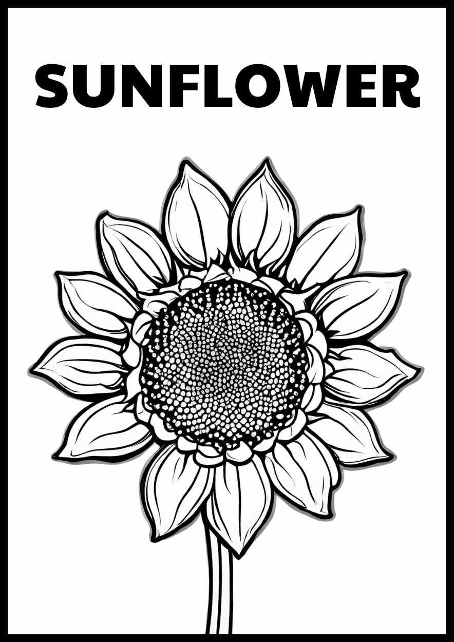 Simple In the Garden Coloring Worksheet - diapositiva 4