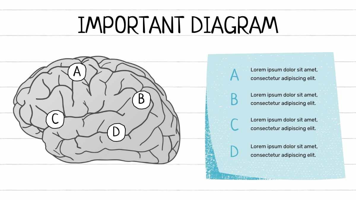 Simple Left Brain Right Brain Slides - diapositiva 11