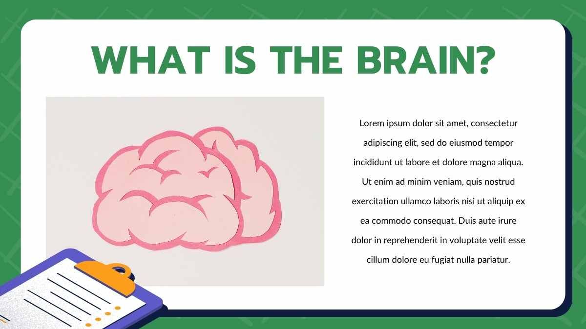 Simple Modern How The Brain Works Slides - diapositiva 3