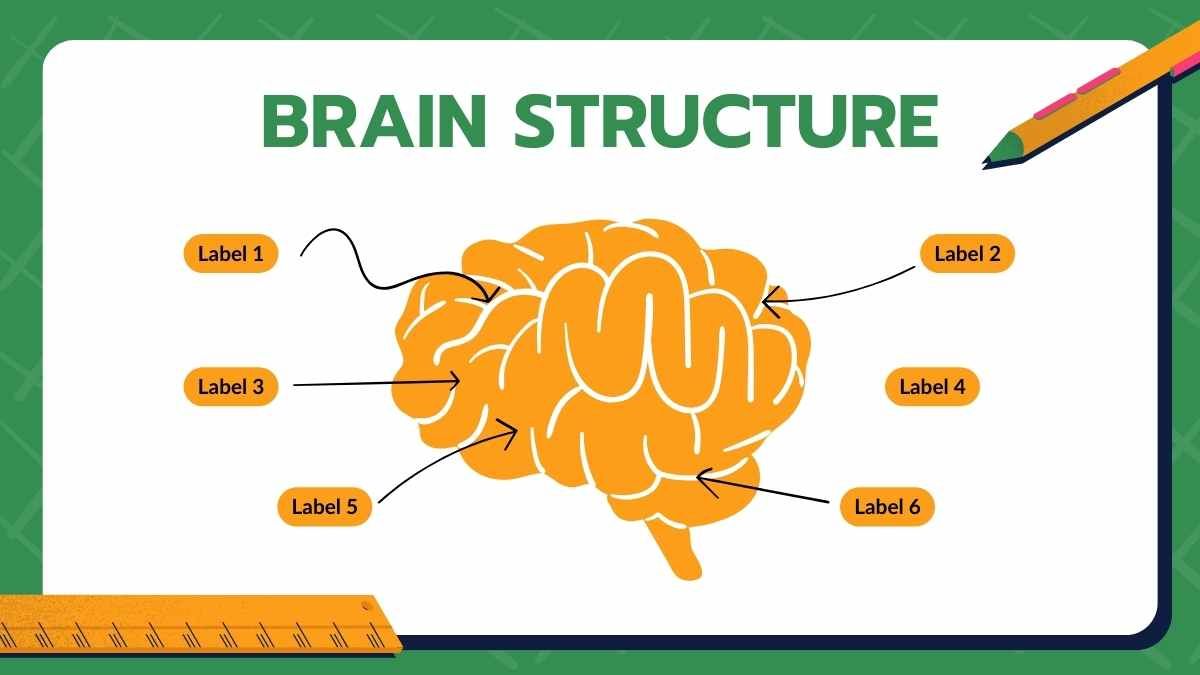 Simple Modern How The Brain Works Slides - diapositiva 5