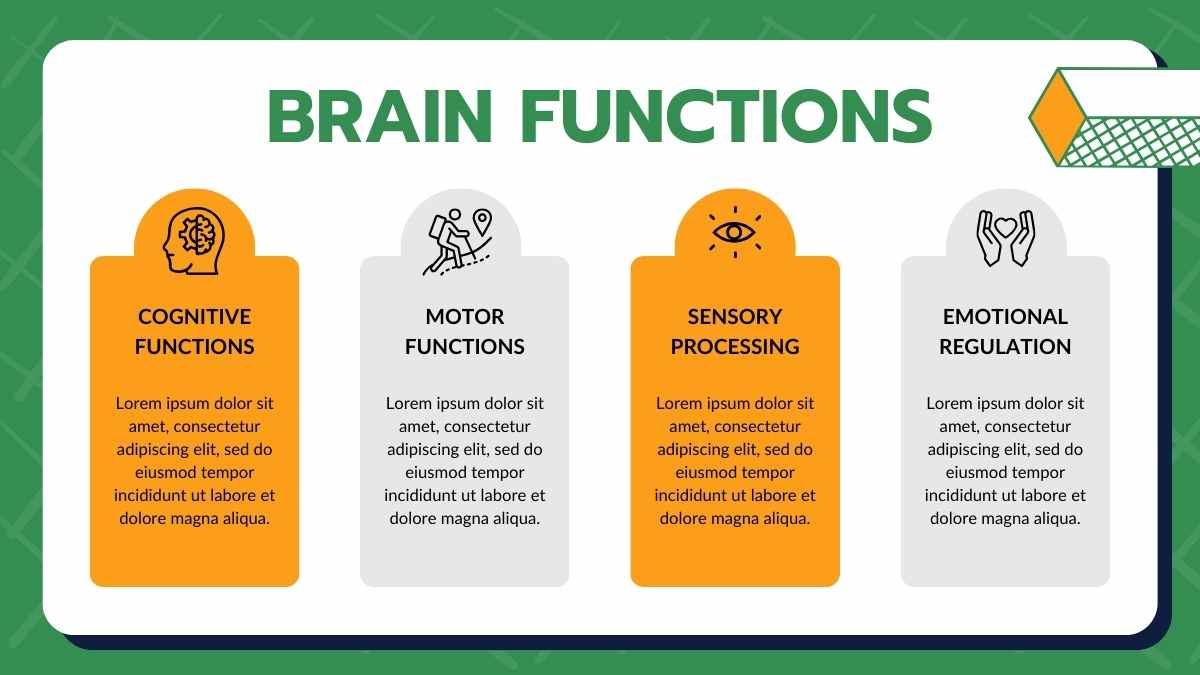 Simple Modern How The Brain Works Slides - diapositiva 7