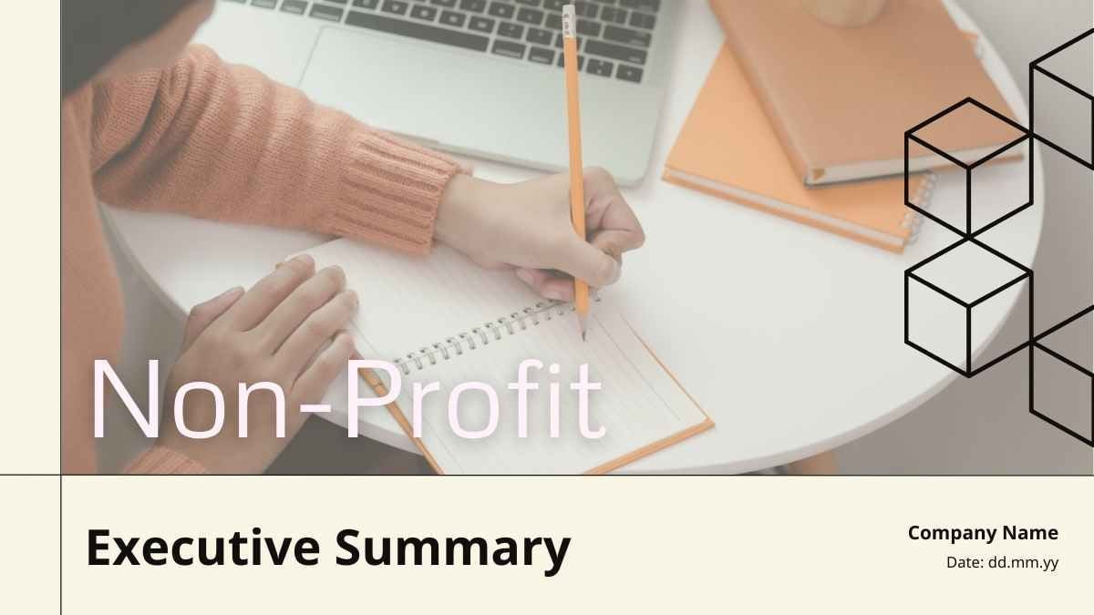 Simple Non Profit Executive Summary Slides - slide 1