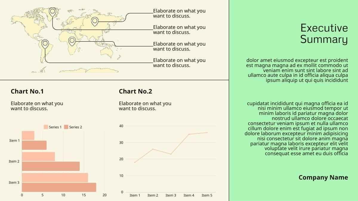 Simple Non Profit Executive Summary Slides - diapositiva 4