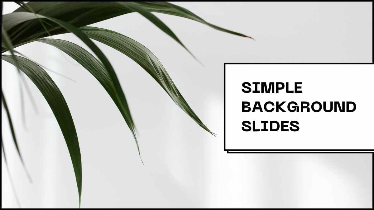 Simple Photo-Centric Background Slides - slide 1