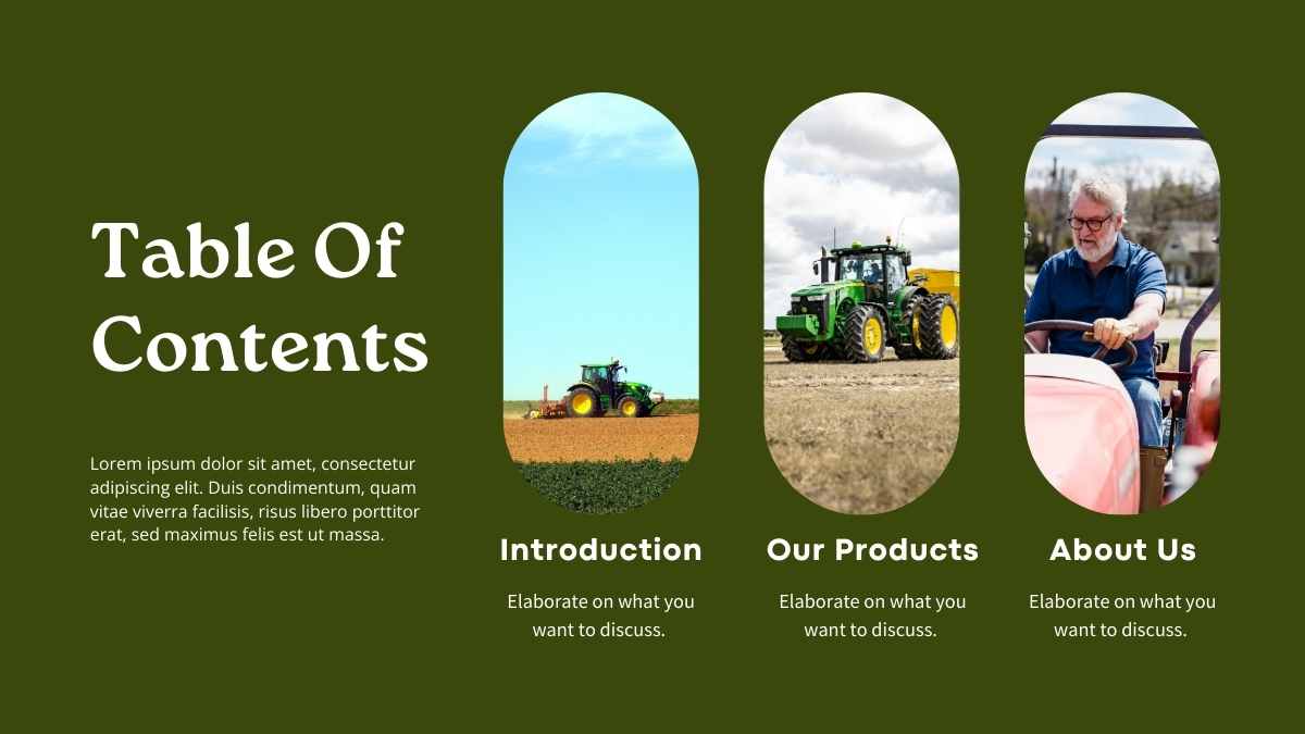 Simple Green Tractor Dealership Business Plan Slides - slide 3