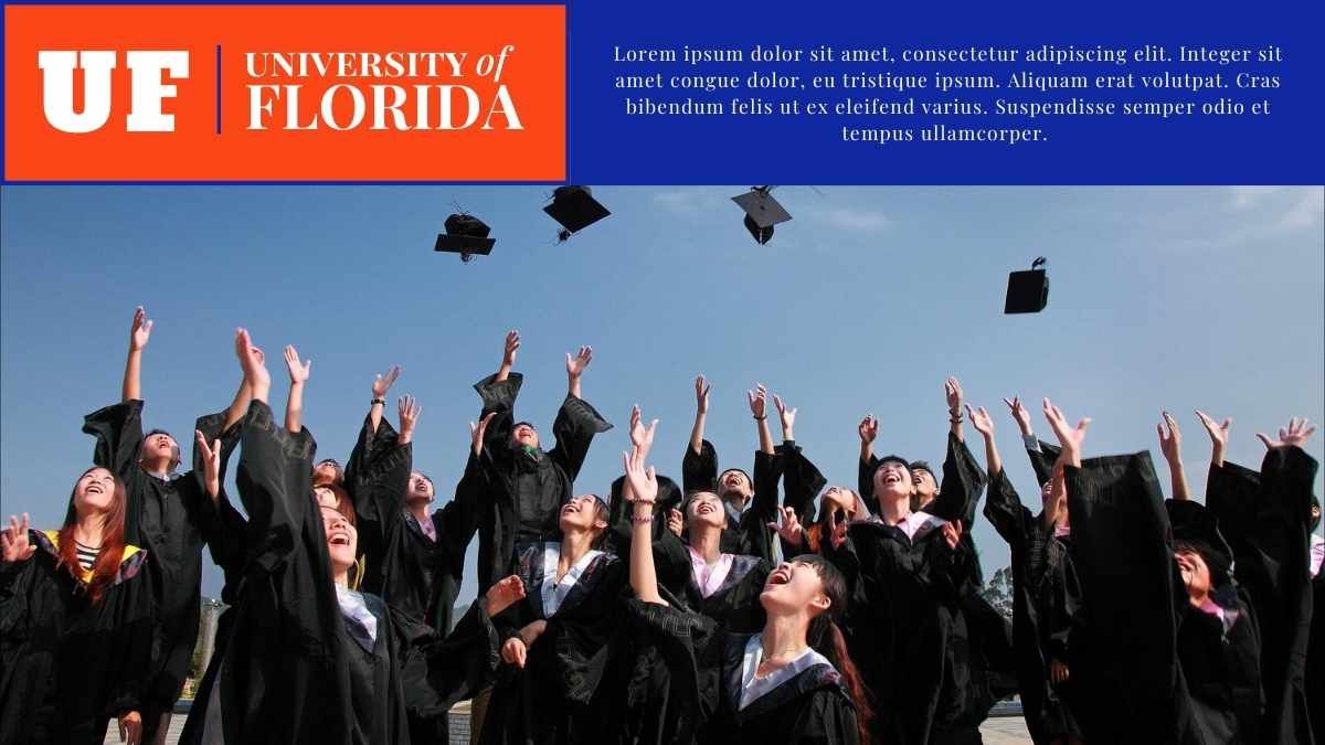 Simple University of Florida Background Slides - diapositiva 12