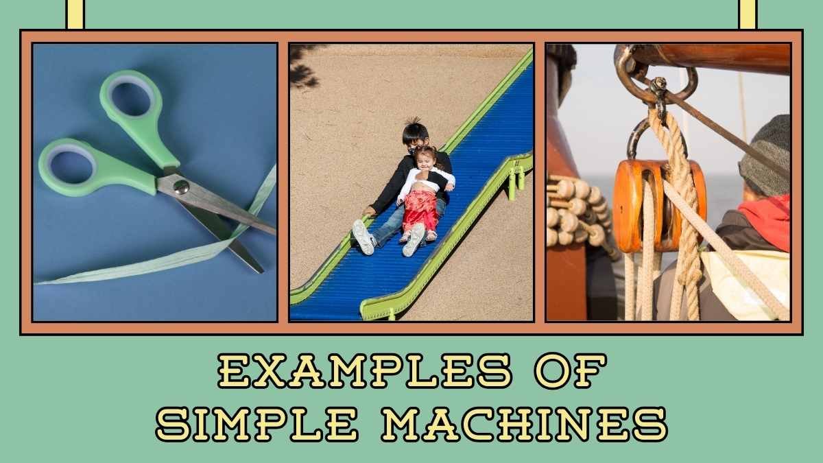 Simple and Complex Machines Science Lesson for Elementary - slide 11