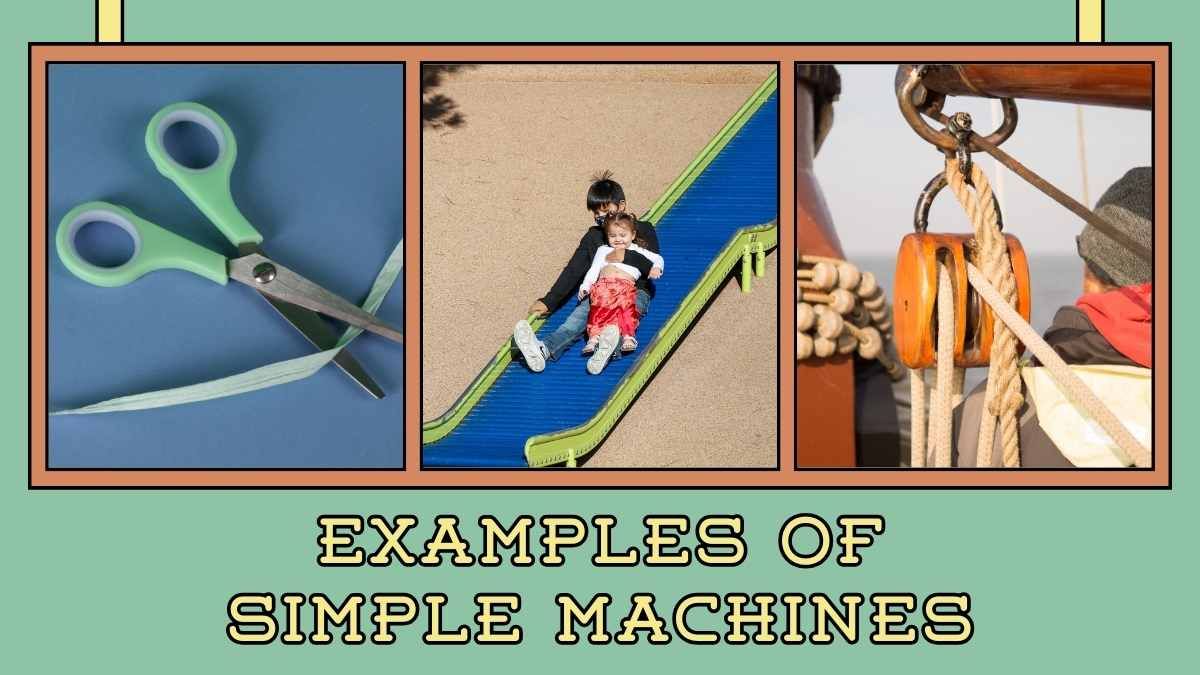 Simple and Complex Machines Science Lesson for Elementary - diapositiva 11