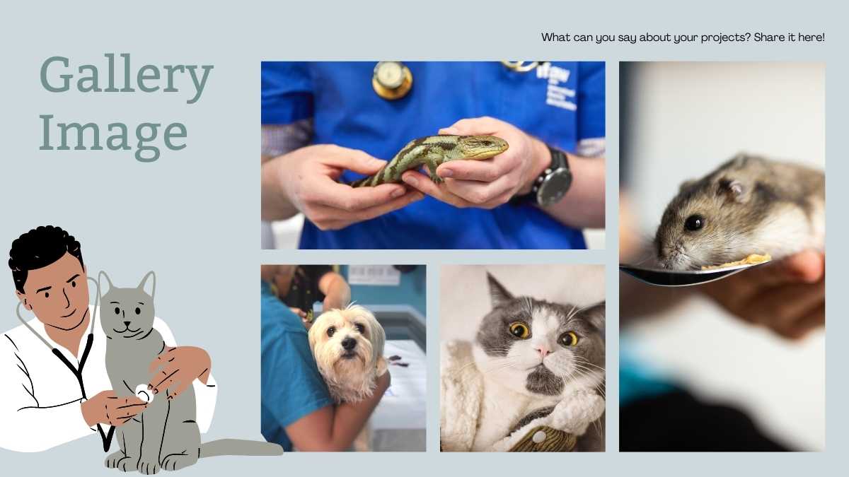 Cute Illustrative Veterinarian Clinic Slides - slide 10