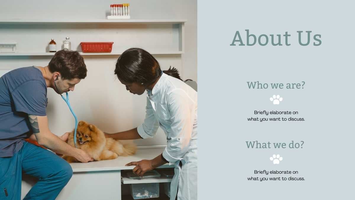 Cute Illustrative Veterinarian Clinic Slides - slide 9