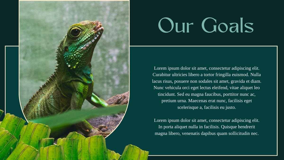 Tropical Amazon Rainforest Newsletter Slides - slide 9