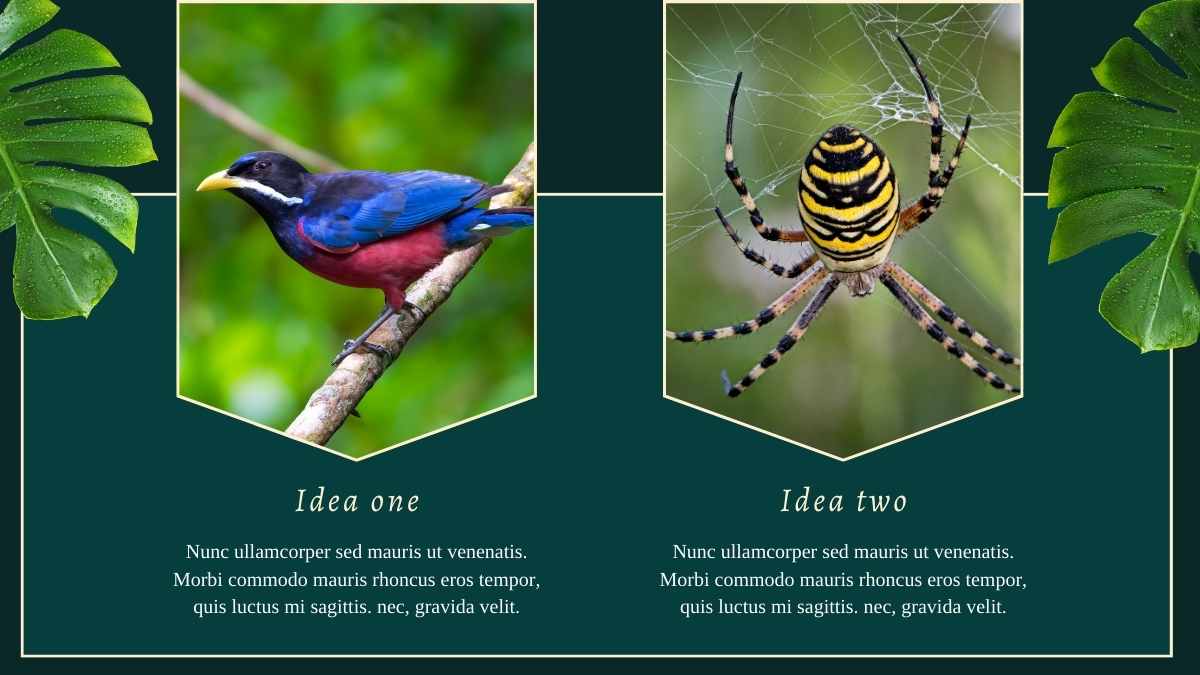 Tropical Amazon Rainforest Newsletter Slides - slide 11