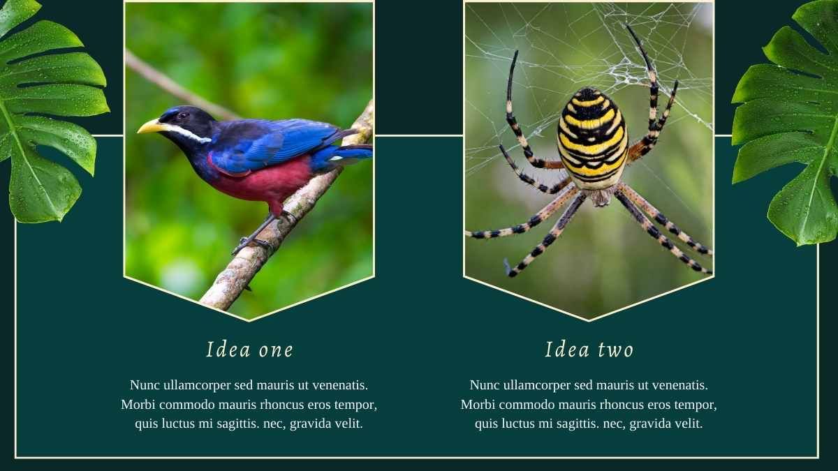 Tropical Amazon Rainforest Newsletter Slides - diapositiva 11