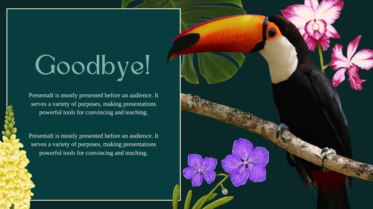 Tropical Amazon Rainforest Newsletter Slides - slide 15