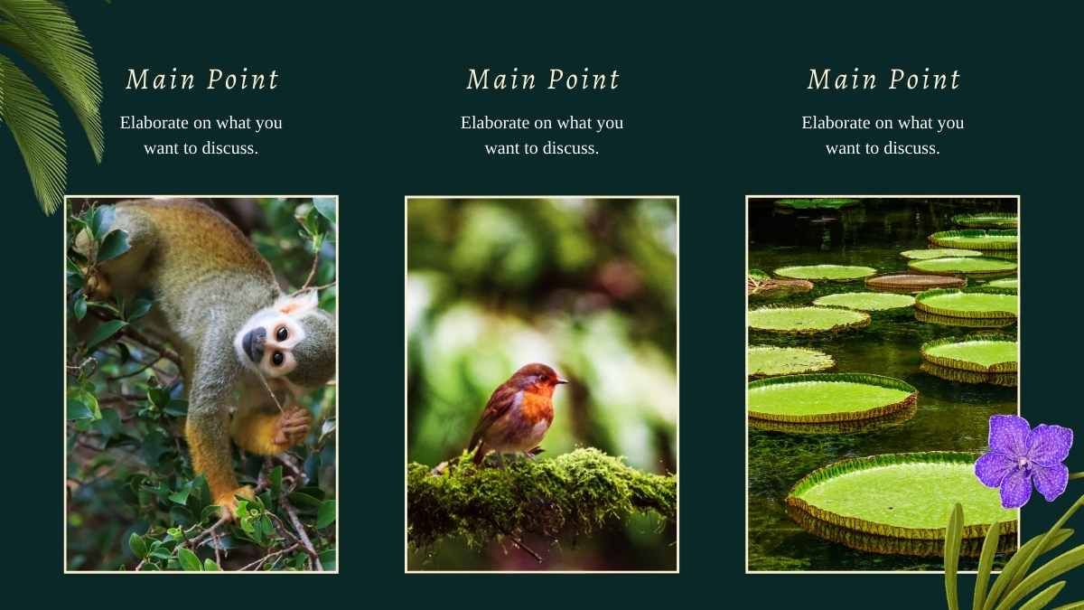 Tropical Amazon Rainforest Newsletter Slides - diapositiva 9