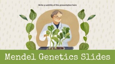 Watercolor Mendel Genetics Slides