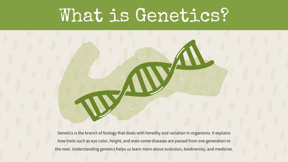 Watercolor Mendel Genetics Slides - slide 4